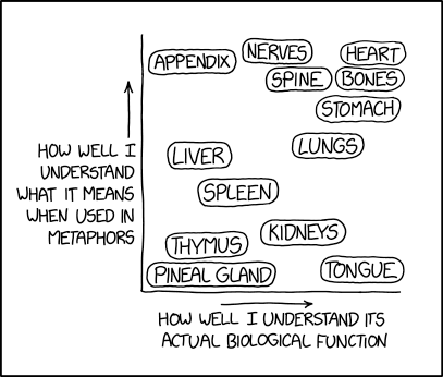 organ_meanings.png