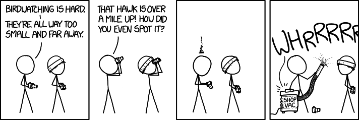 birdwatching.png