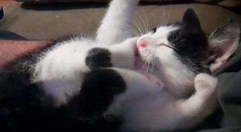 cant_control_my_feet.jpg