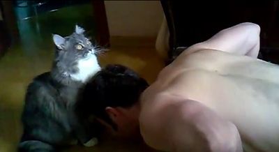 cat_trainer.jpg
