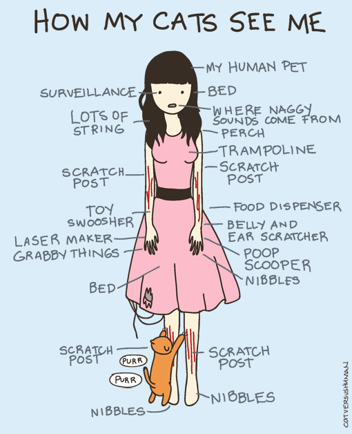 cat_vs_human.jpg