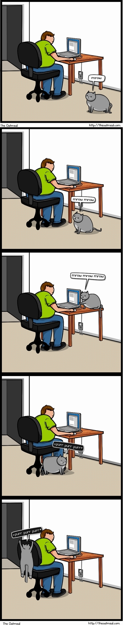 cat_vs_internet_01.jpg