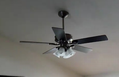 crazy_fan.jpg