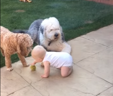 cute_fetch_master_class.png