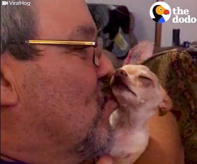 dogs_demand_pets.png