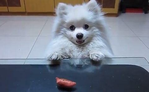 dont_reach_sausage.jpg