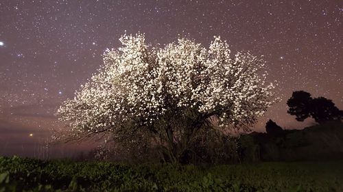 el_cielo_02.jpg