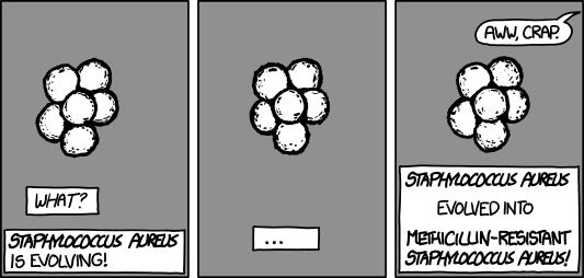 evolving.png