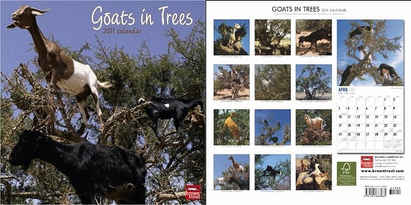 goats_in_trees.jpg