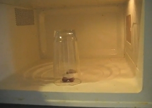 grape_Plasma.jpg