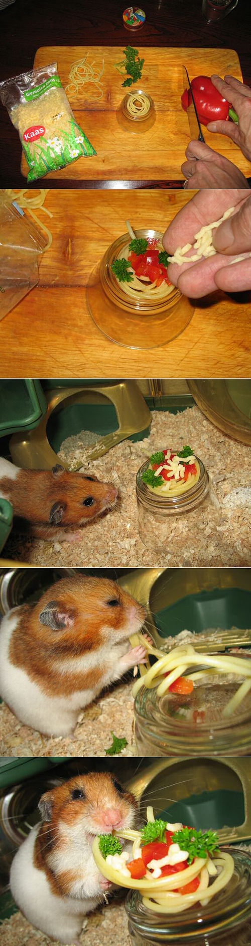ham_spa.jpg