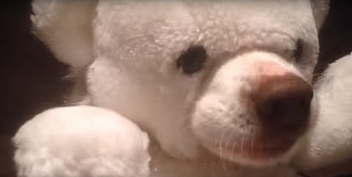 hungry_teddy.png