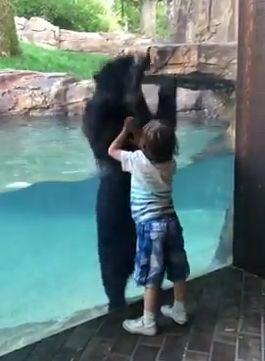 jump_together.jpg