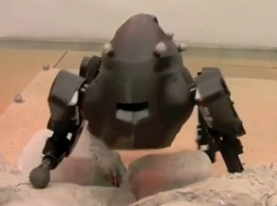littledog_01.jpg
