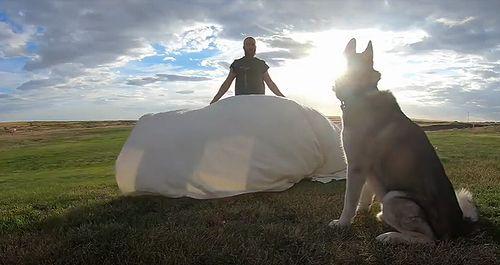 magician_confise_dog.jpg