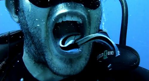nature_free_dental_plan.jpg