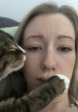 pervent_cat.png