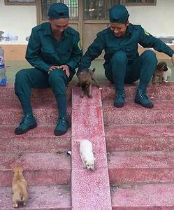 puppy_slide.jpg