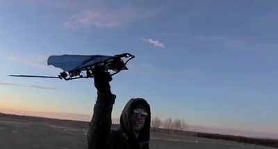 rc_bird.jpg
