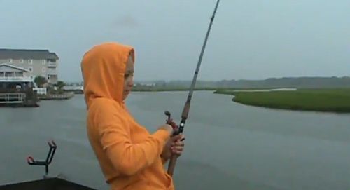 shark_bait.jpg