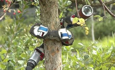 snake_robot.jpg