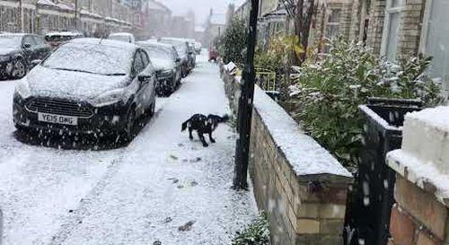 snow_first_time.jpg