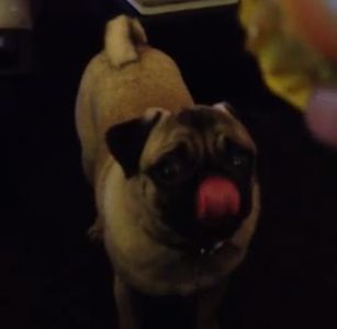 tongue_squeak.jpg