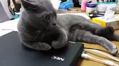 try_to_attack.png