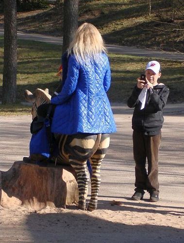 zebra_legs.jpg